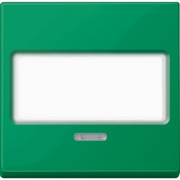 Клавиша с полем для надписи и с окошком для светового индикатора зеленый - цена и фото в Минске